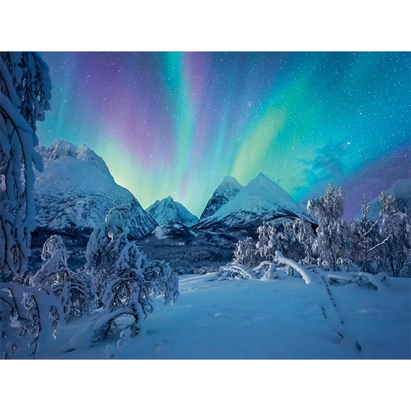 پازل 1500 تکه راونزبرگر طرح The Arctic Show