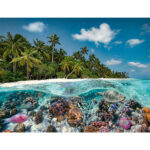 پازل 2000 تکه راونزبرگر طرح A Dive in The Maldives