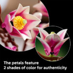 لگو سری بوتانیکالز مدل Magnolia Branches کد 11510
