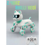 ربات کنترلی بوراتیلا مدل گربه سبز - Image 3