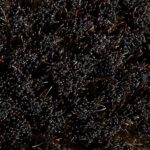 برس چوبی اسب فوگانزا مدل Sentier