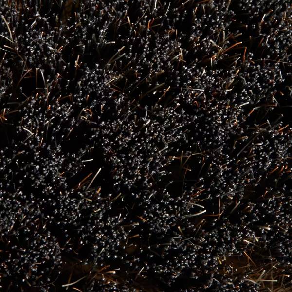 برس چوبی اسب فوگانزا مدل Sentier